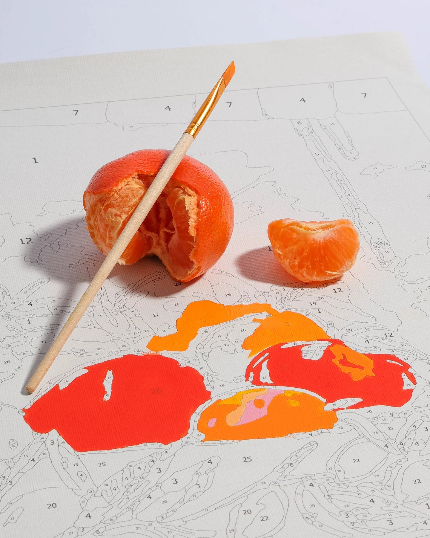 Paint By Numbers Bowl Of Oranges