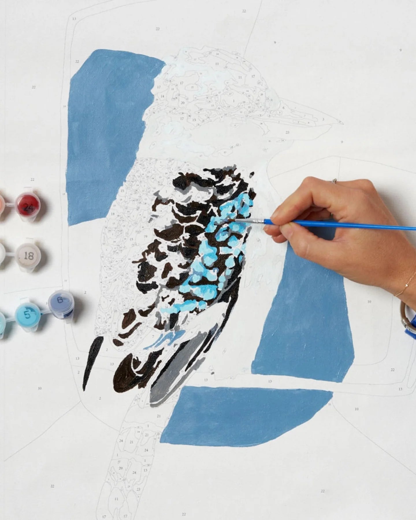 Paint By Numbers Kookaburra Laugh