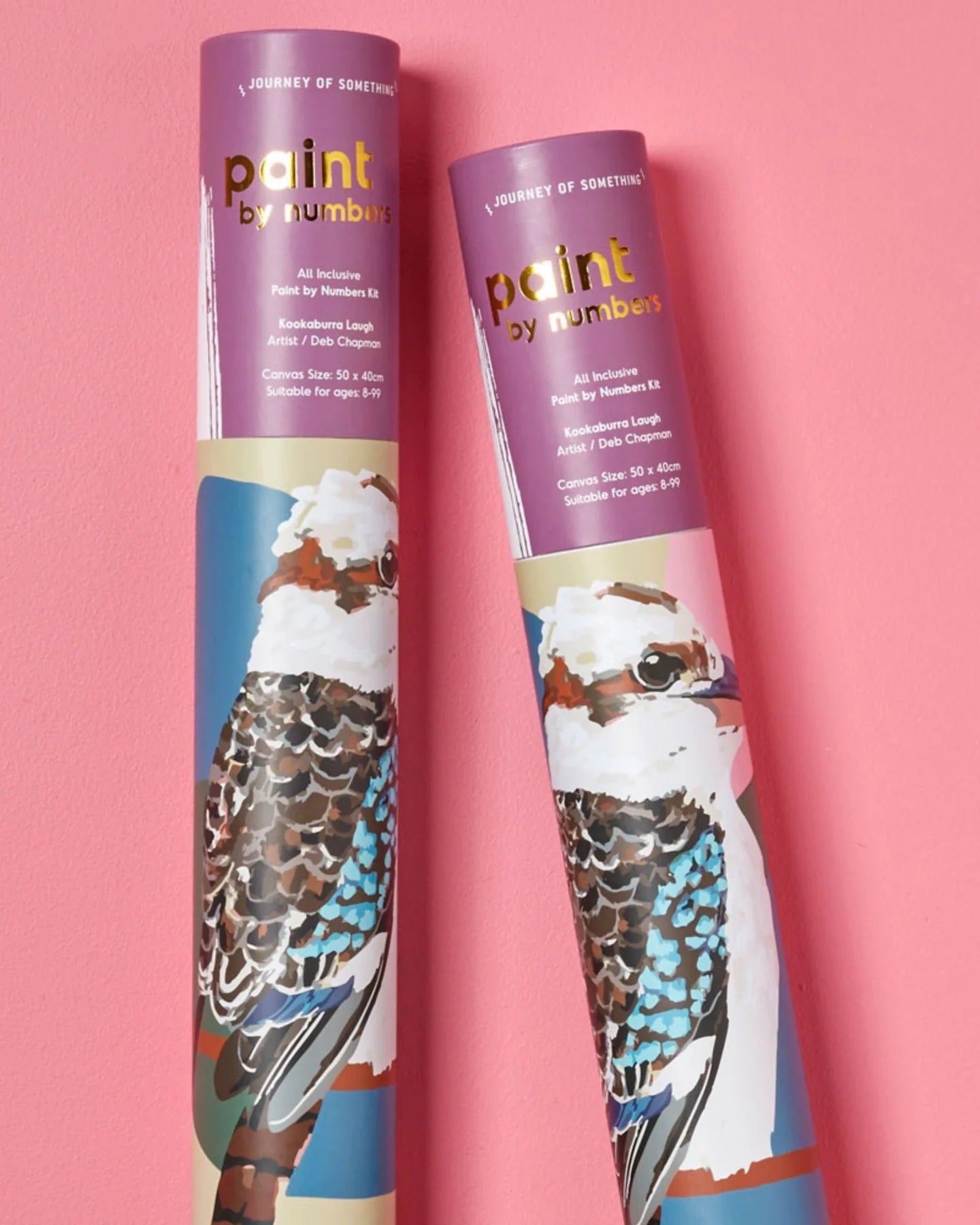 Paint By Numbers Kookaburra Laugh