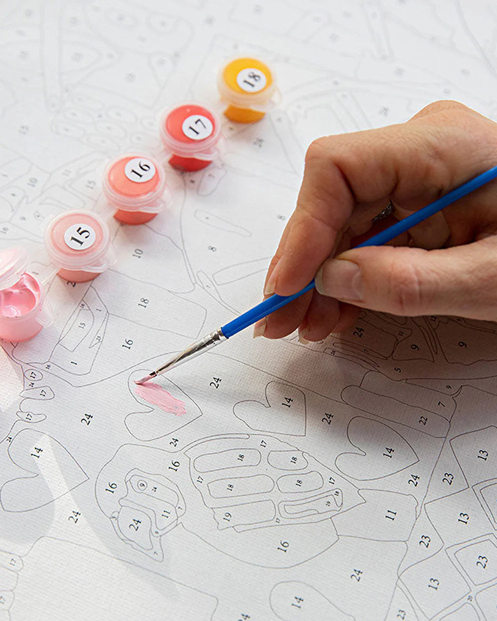 Paint By Numbers Kookaburra Laugh