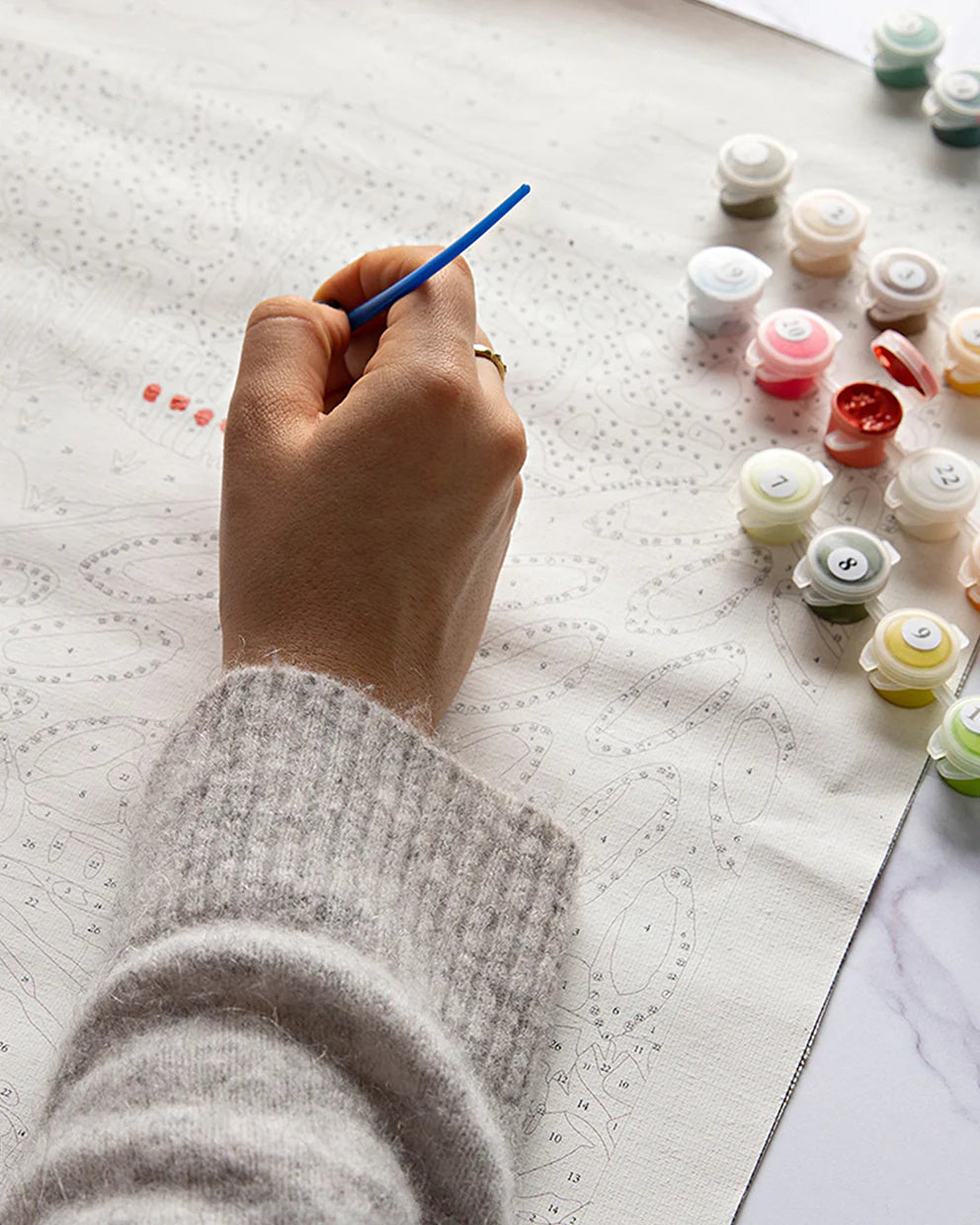 Paint By Numbers Kookaburra Laugh