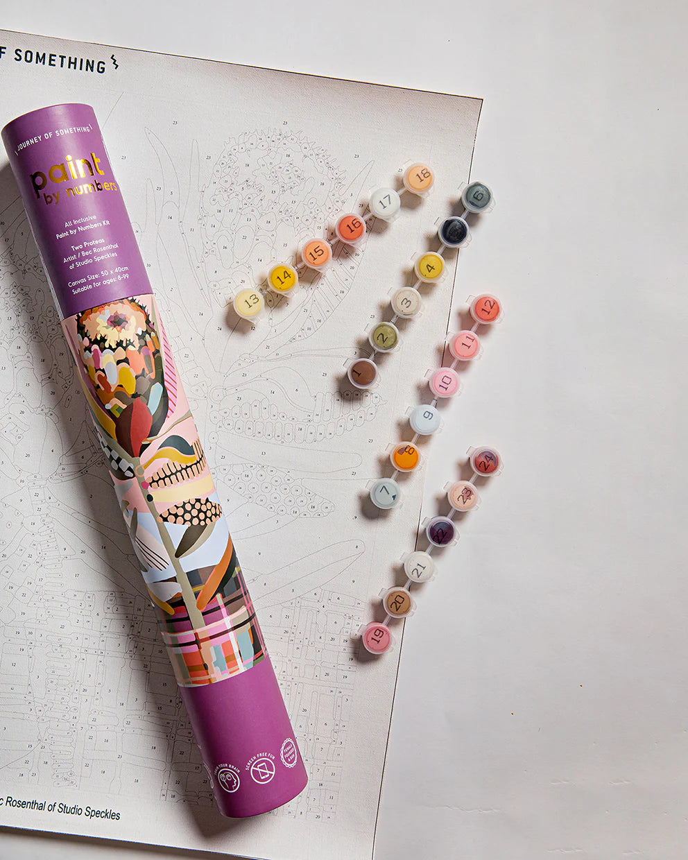 Paint By Numbers Two Proteas