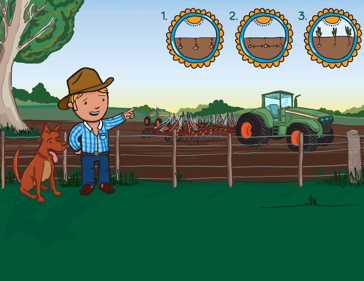 George The Farmer Plants A Wheat Crop