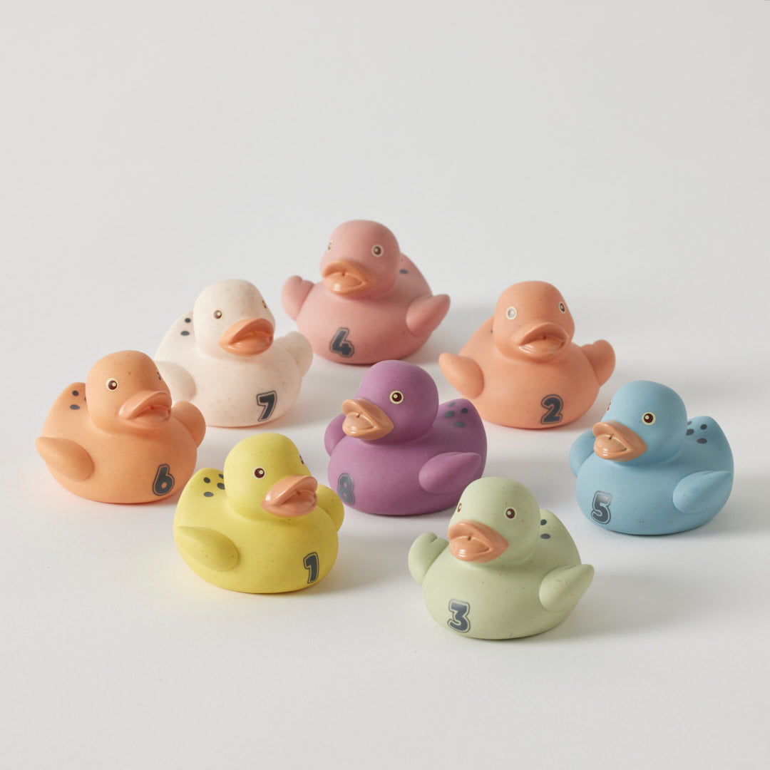 Eco-Friendly Counting Ducks