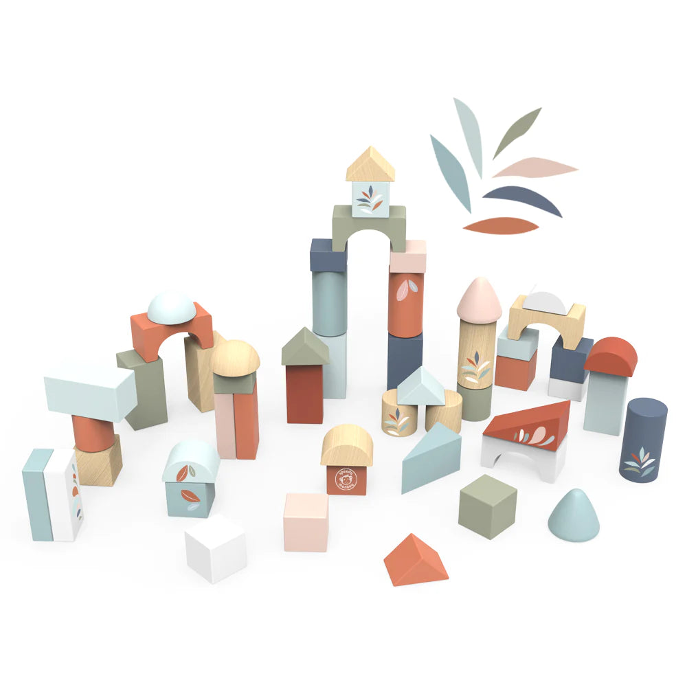 Building Blocks 50pc Set