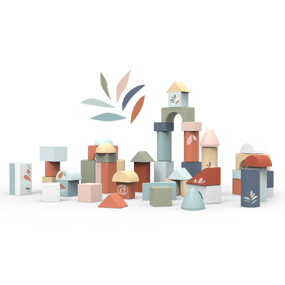 Building Blocks 50pc Set