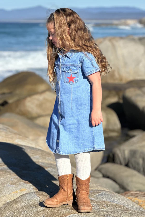 Western Denim Dress