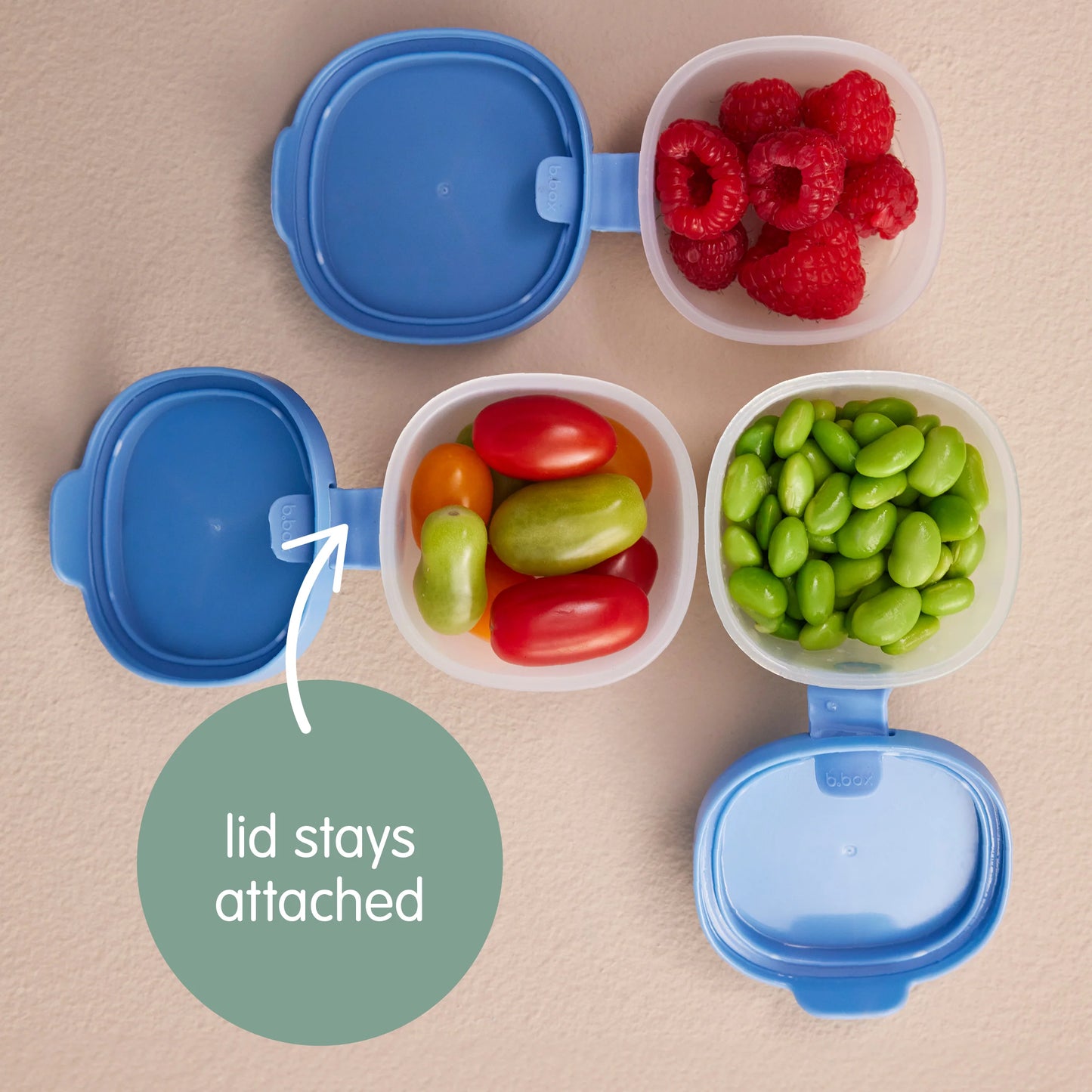 Snack Tubs 3pk Ocean
