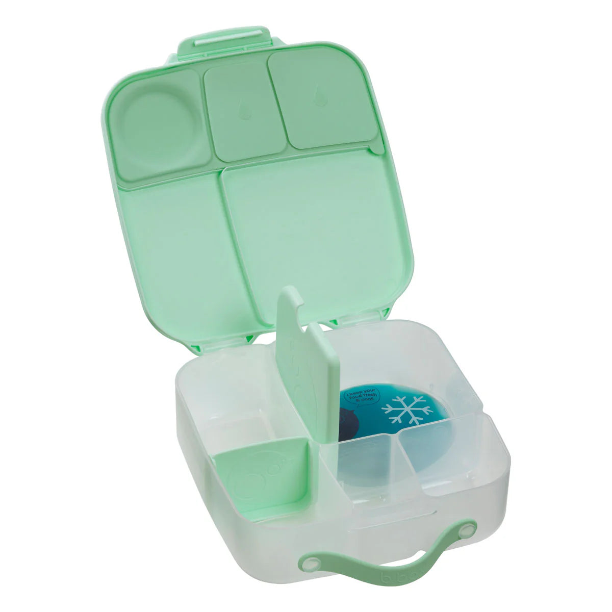 Mini Lunchbox Spearmint