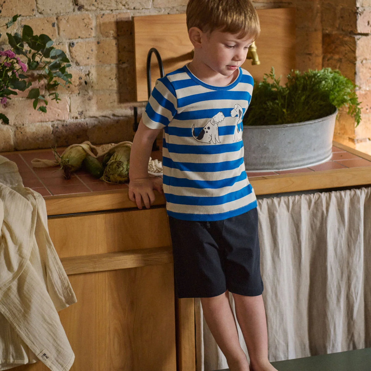 River Tee Dog Walk Blue Stripe