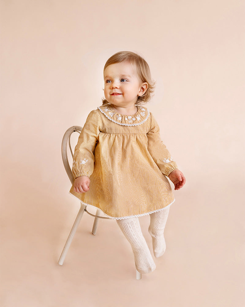 Winnie Emb Gingham Overlay Dress