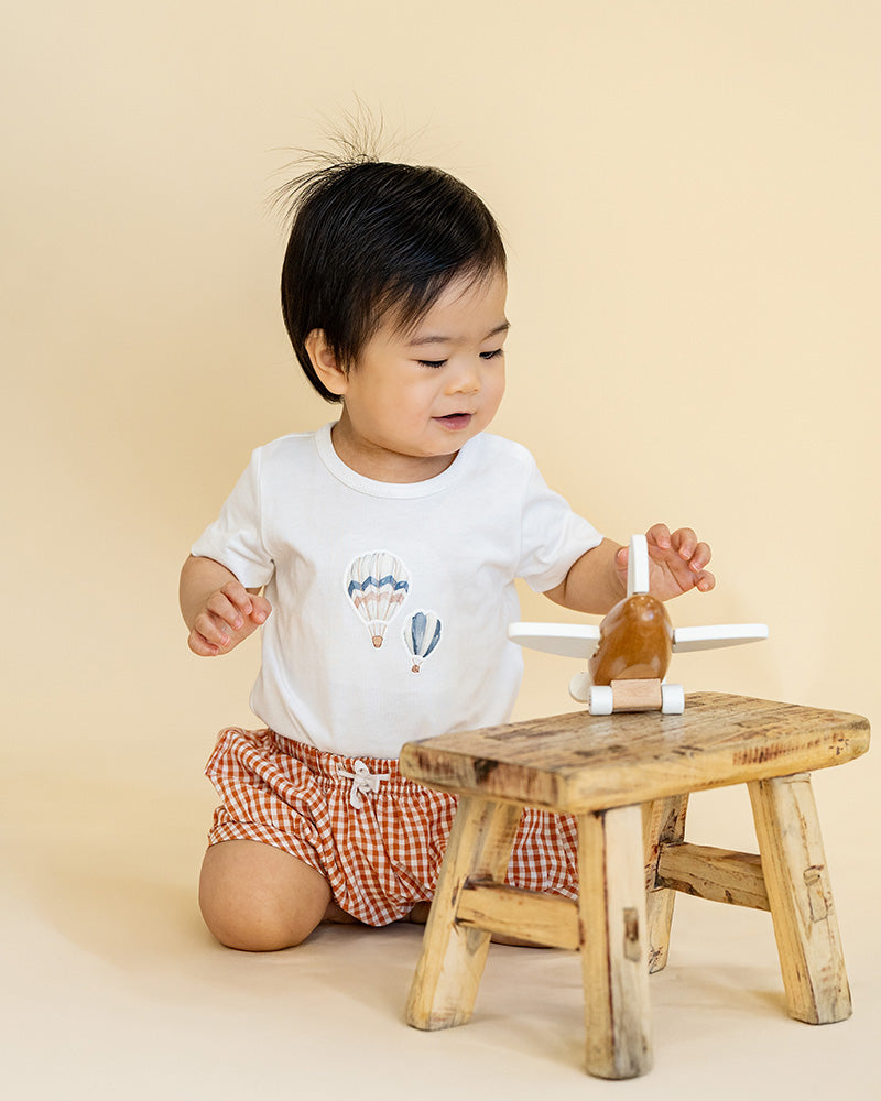 Harlan Hot Air Balloon 2pc Set