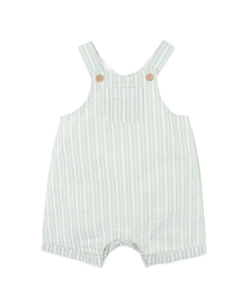 Evan Green Stripe Overalls