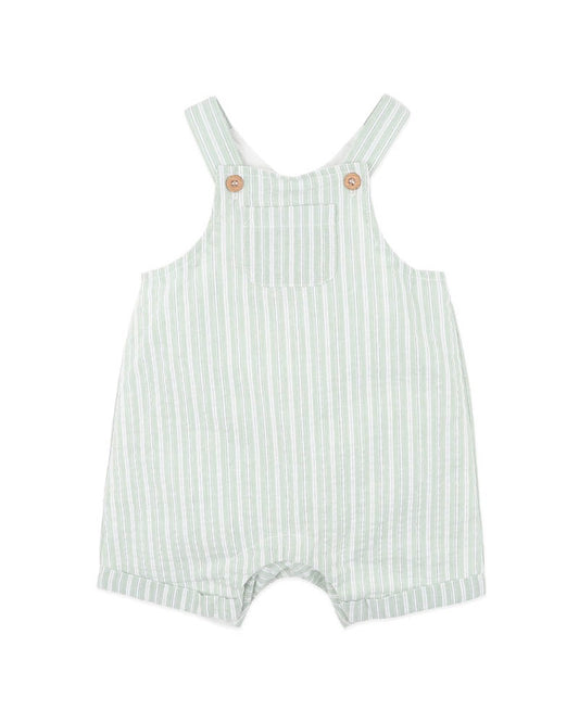 Evan Green Stripe Overalls