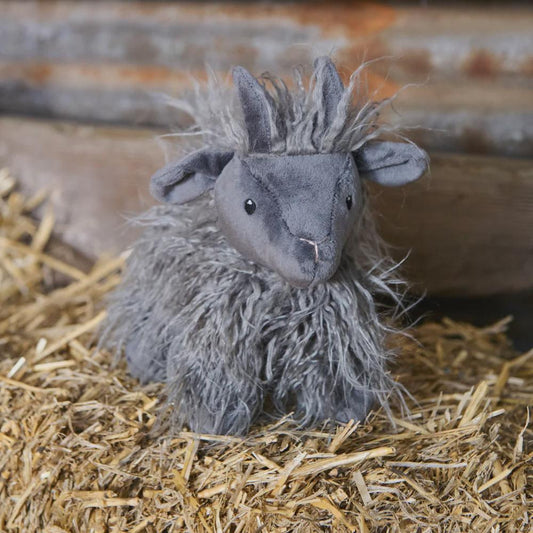 Aiden the Angora Goat