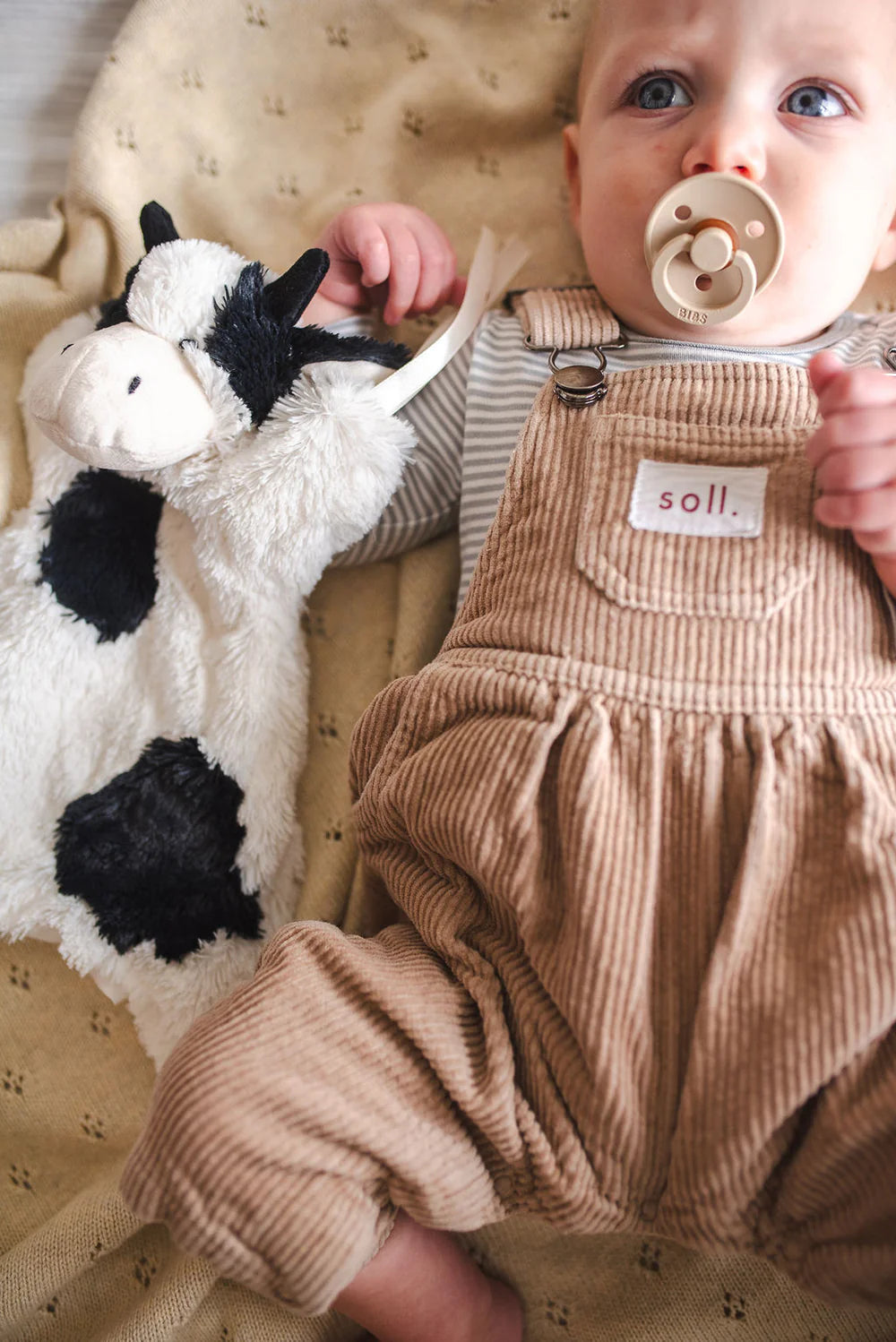 Clover the Cow Hoochy Coochie Black