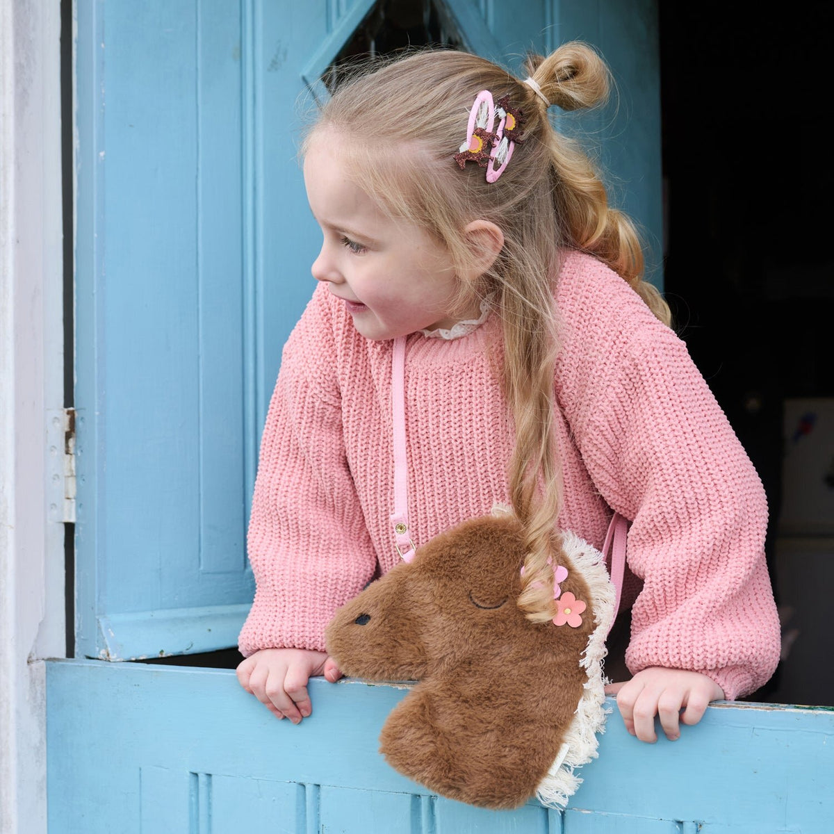 Country Pony Clips