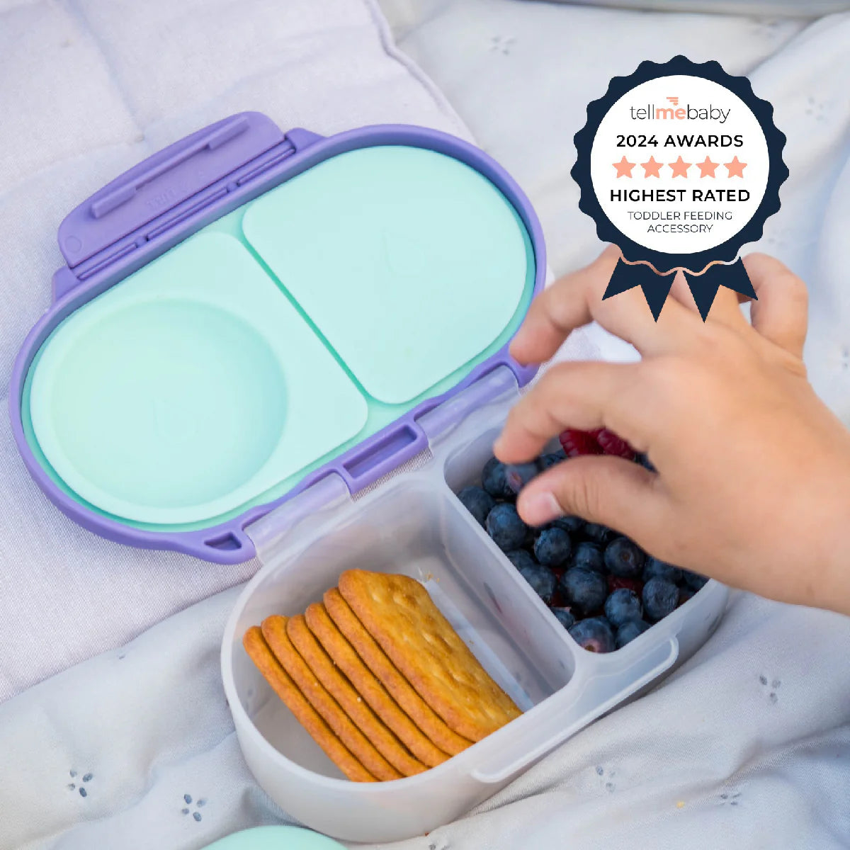 Snackbox Blue Slate