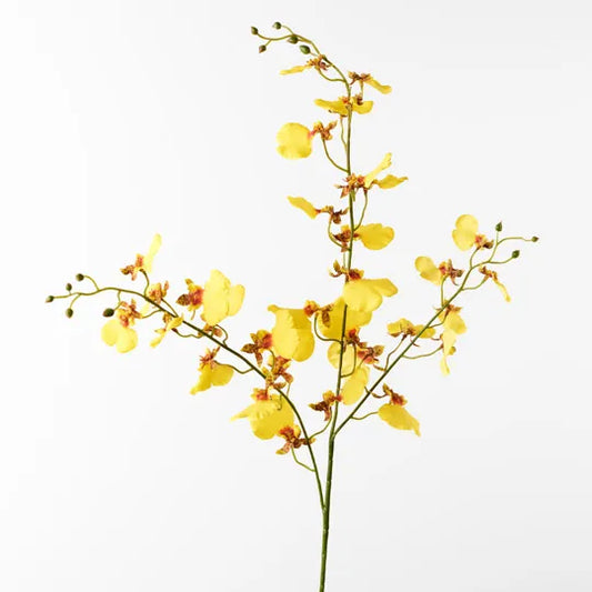 Orchid Dancing Yellow