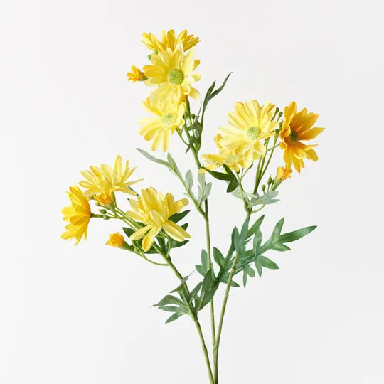 Daisy Spray Yellow