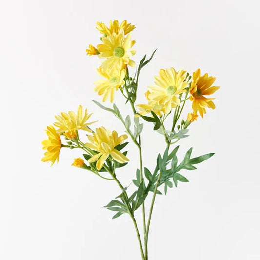 Daisy Spray Yellow
