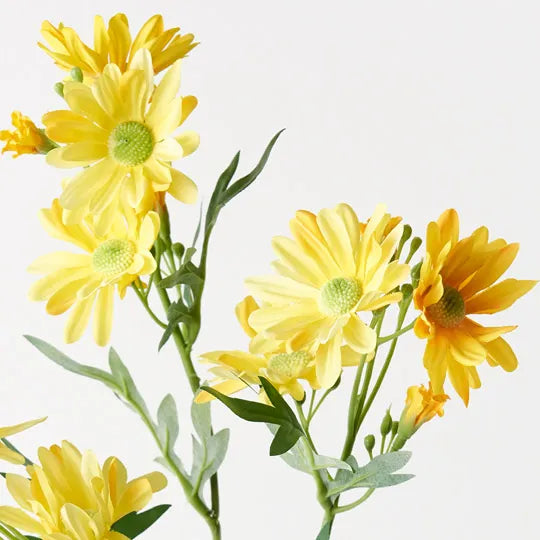Daisy Spray Yellow