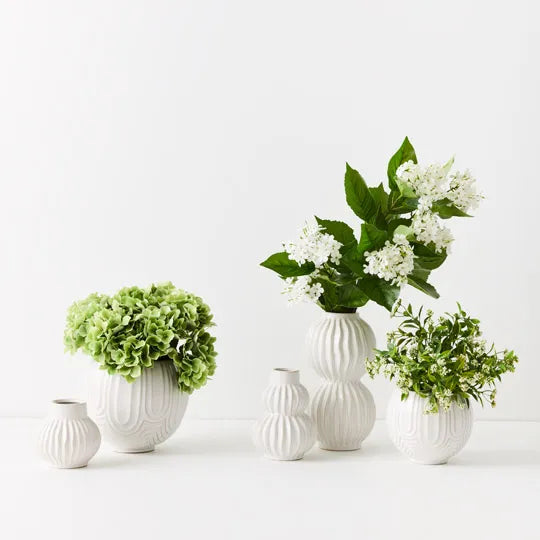 Hydrangea Bush Green