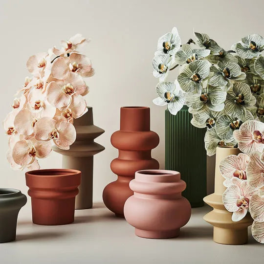 Orchid Phalaenopsis Infused Salmon