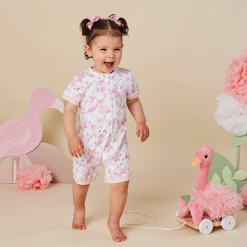 Flamingos Snuggle Shortie