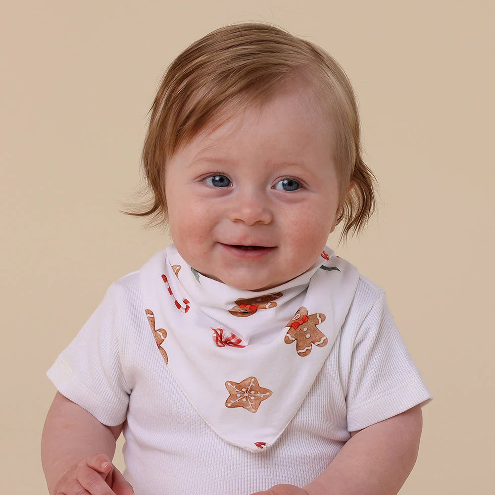 Gingerbread Dribble Bib