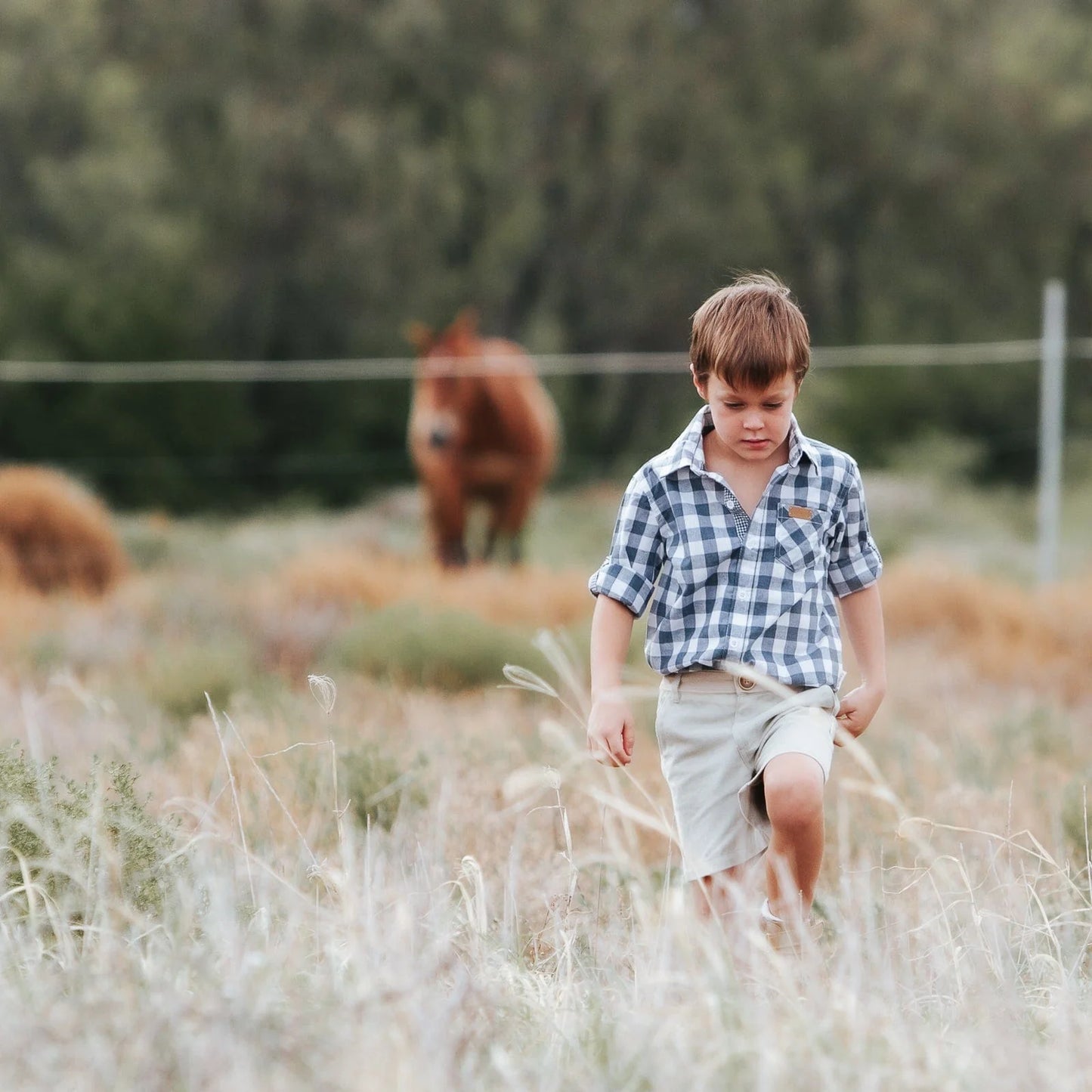 Boys Dress Shirt Large Blue Check