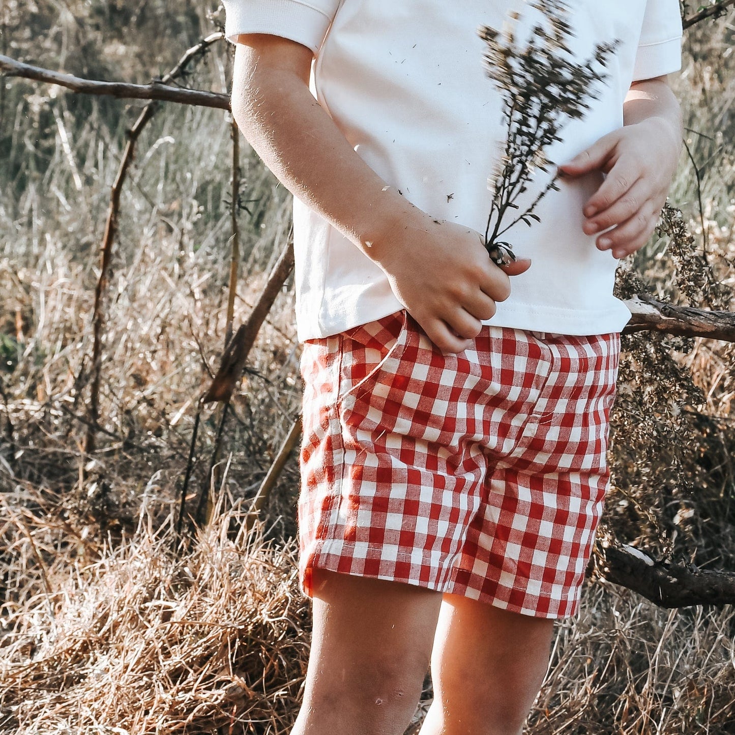 Boys Sonny Shorts Red Check