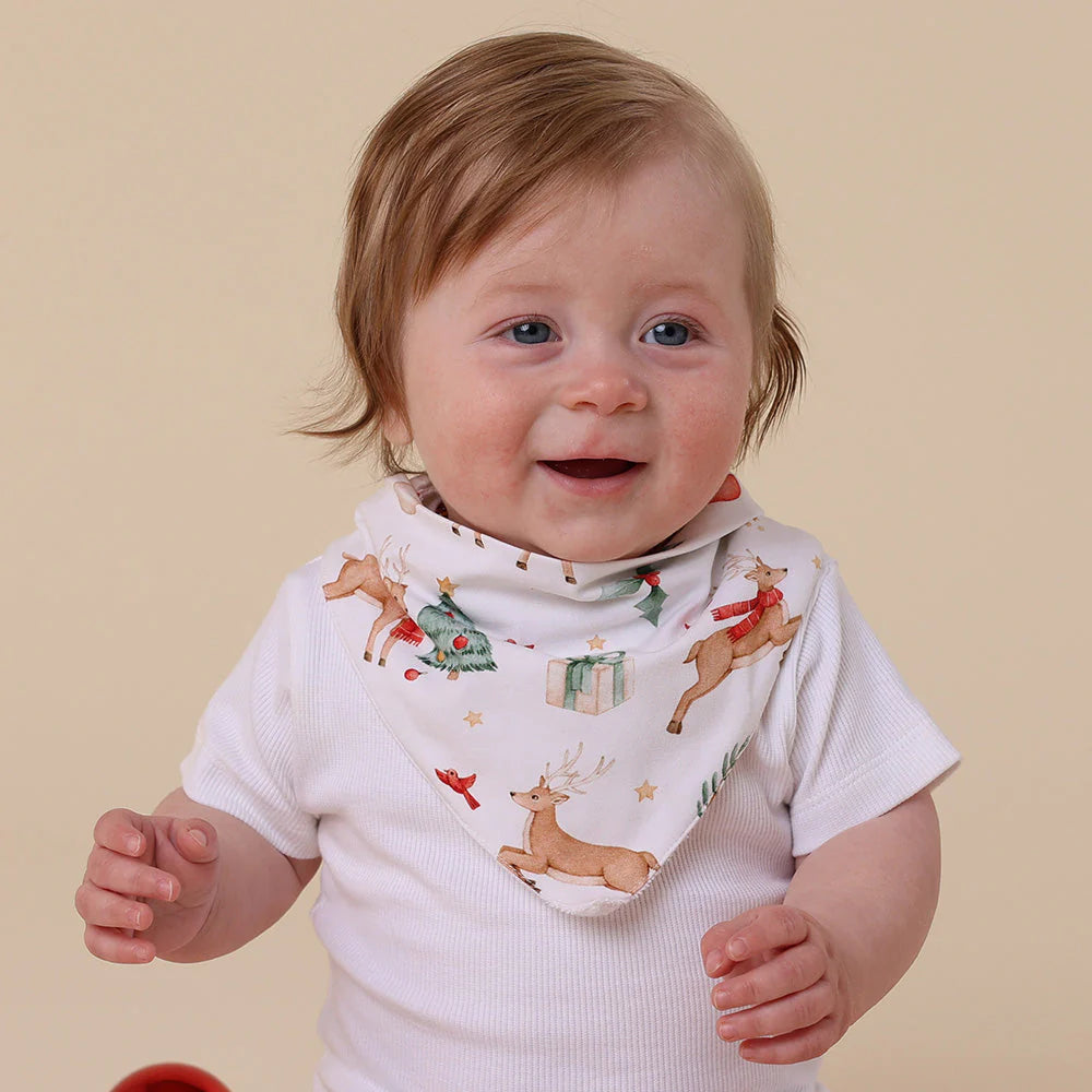Prancer & Friends Dribble Bib