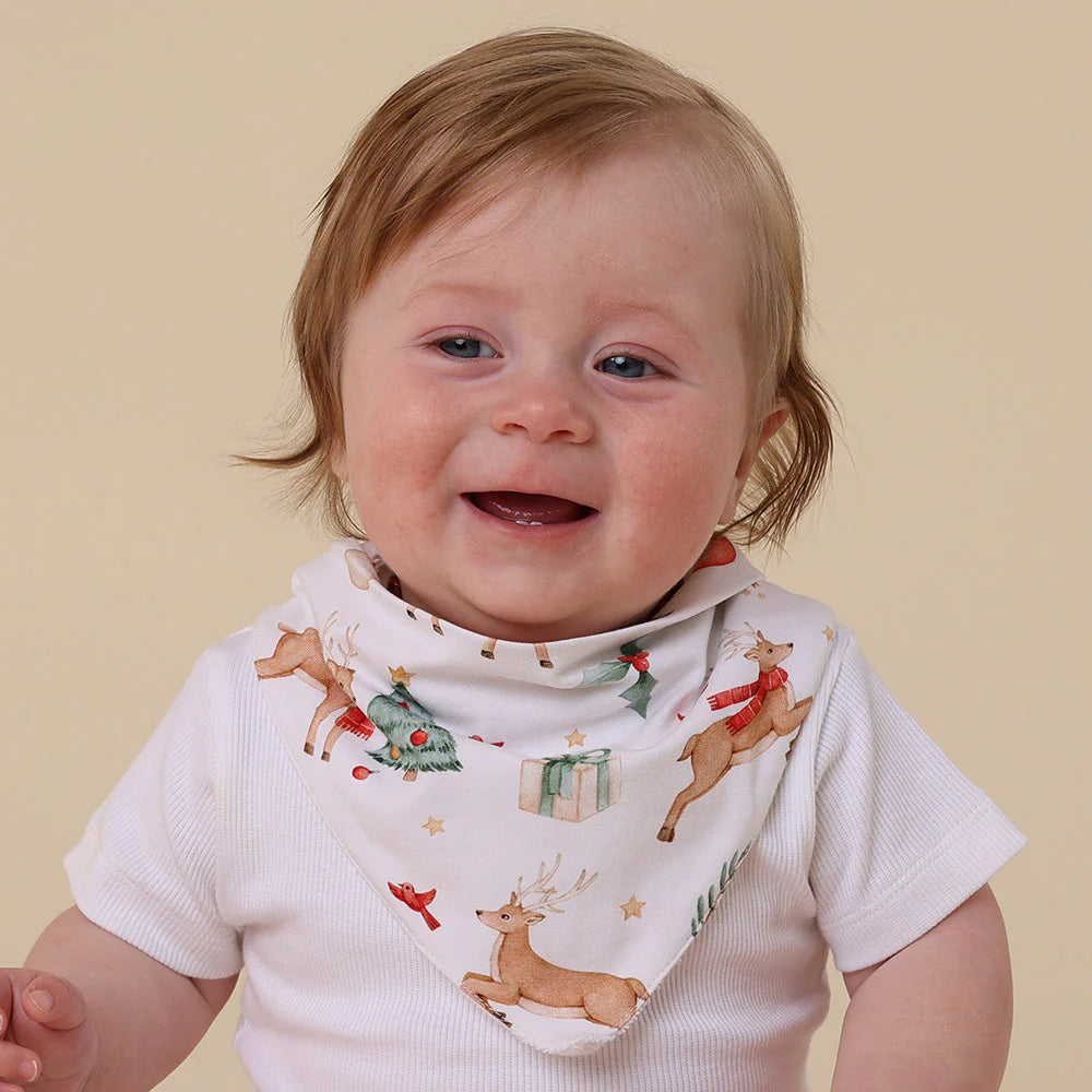 Prancer & Friends Dribble Bib