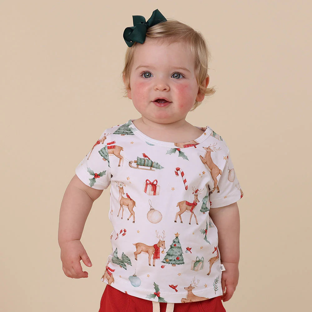 Prancer & Friends T-Shirt