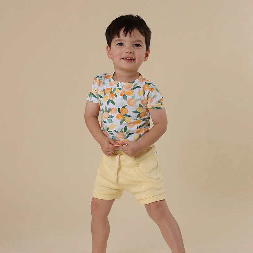 Sunlight Shorts