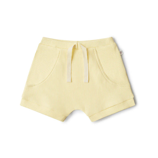 Sunlight Shorts