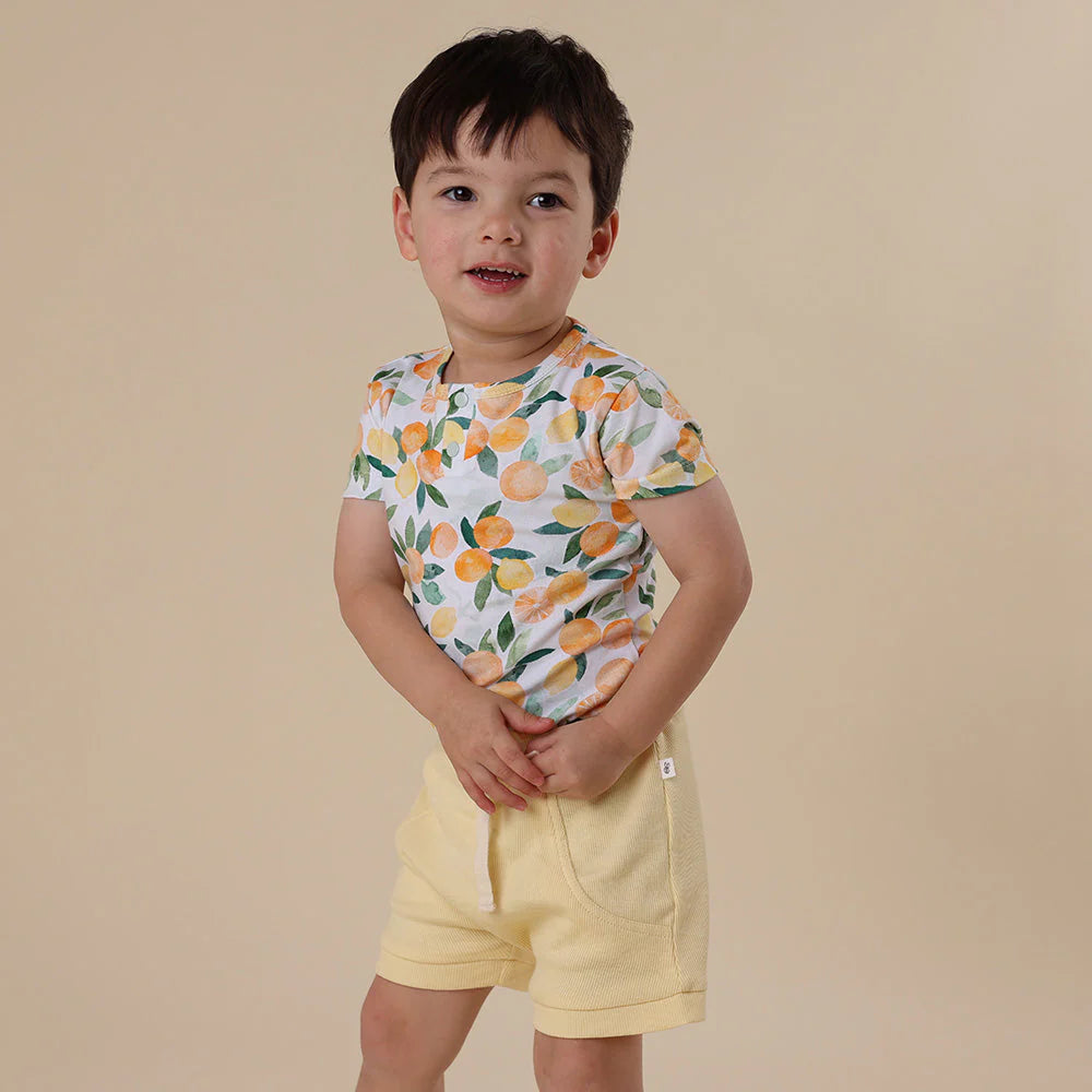 Sunlight Shorts