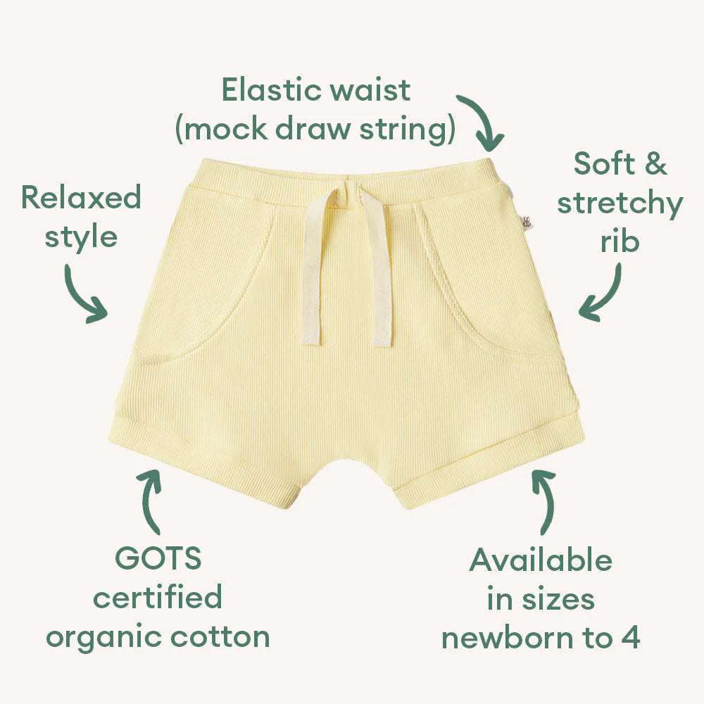 Sunlight Shorts
