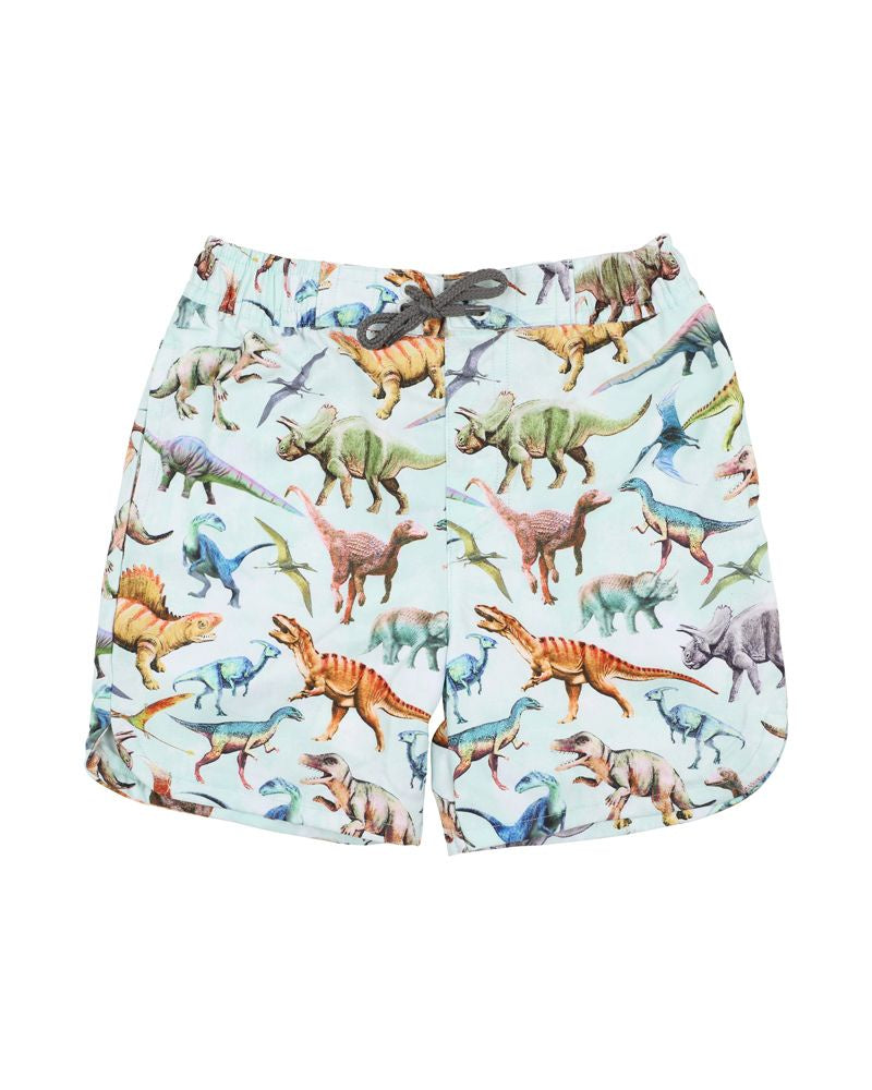 Rex Print Boardshorts