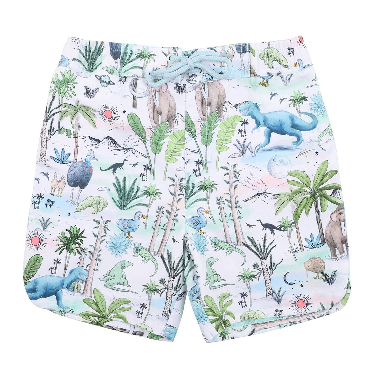 Brody Print Boardshorts