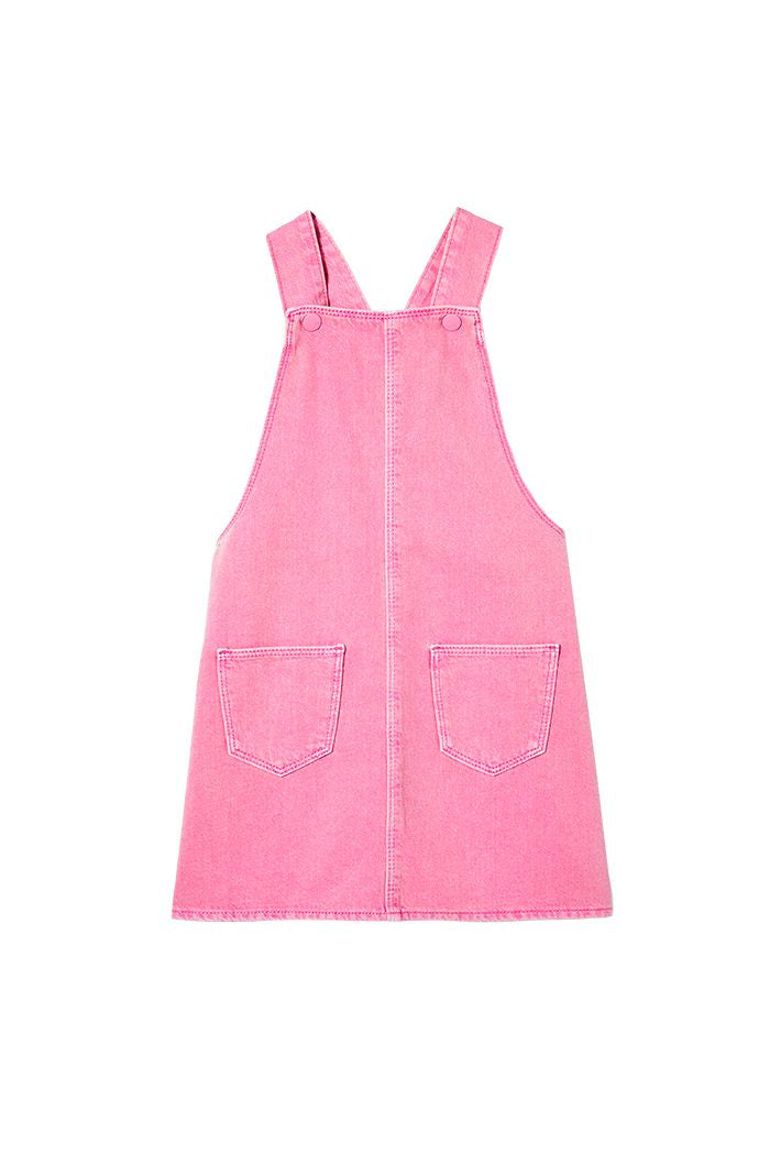 Pink Denim Pinni