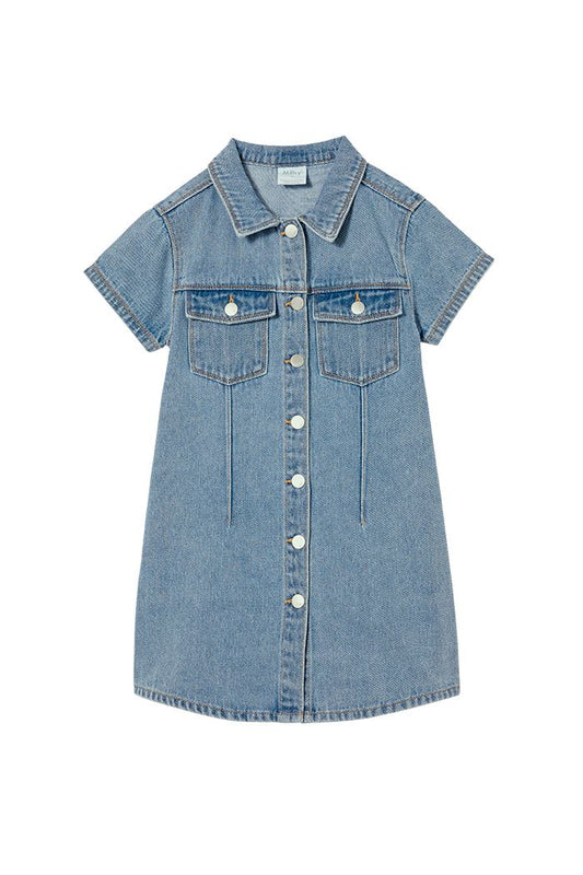 Utility Denim Dress