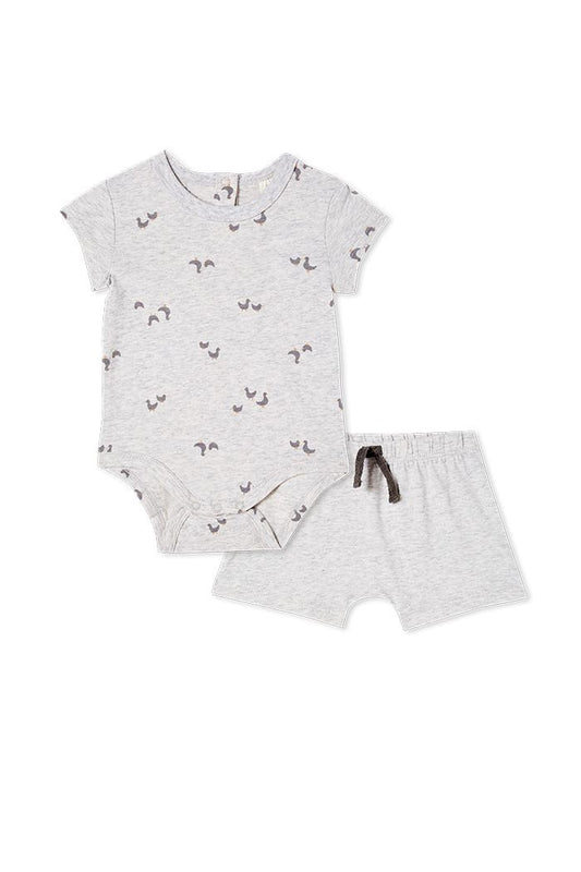 Baby Ducks Set