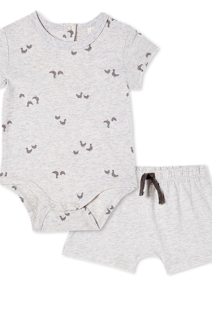 Baby Ducks Set