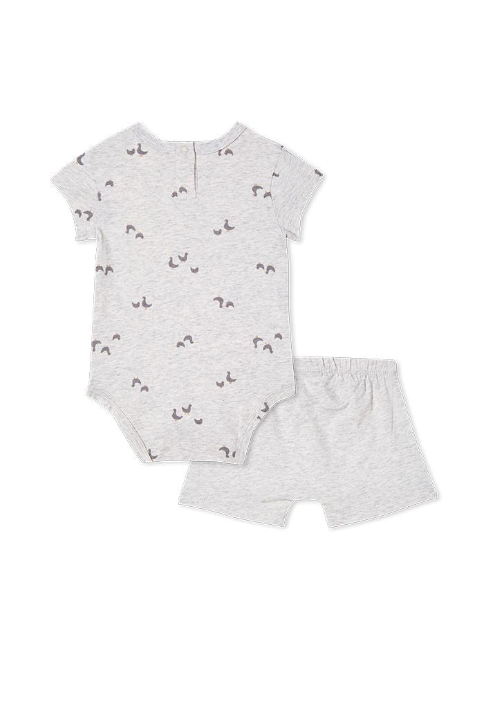 Baby Ducks Set